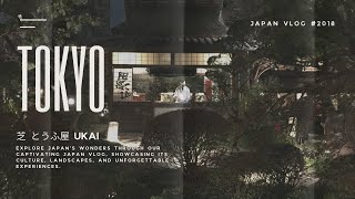 JAPAN VLOG 2018雷門大門飯店奥日光森のホテル汐留Caretta聖誕點燈日光湯滝竜頭の滝中禪寺湖湯ノ湖東京芝豆腐屋UKAIDIC川村紀念美術館 [upl. by Ringsmuth244]