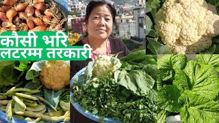 Biggest Harvesting Of Organic Vegetables From my Rooftop Garden and Growing Chives gardening [upl. by Llenahs]