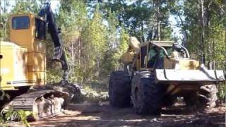 Tigercat 630C Skidder Pulling Wood [upl. by Slein]