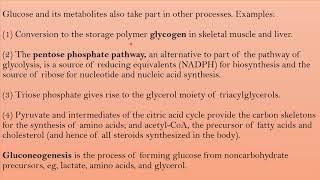 Lecture 3 Citric acid cycle BiochemistrySecond semesterThird year pharmacy students [upl. by Apurk]