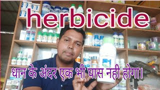 herbicide of Paddy cropधान के खेत मे घास मारने वाली दवाओं का उपयोग [upl. by Tommy768]