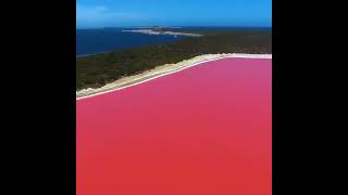 Lake Hillier in Australia [upl. by Xineohp639]