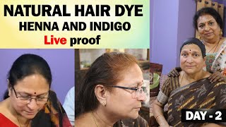 Natural Hair Dye Henna And Indigo Live  Patnam Lo Palleturu  Henna And Indigo  Live result [upl. by Kindig]