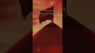 Matam karo Shahe Karbobala Ka karbala imamhussain noha ytshort shortsvideo shortsviral shorts [upl. by Kohl]