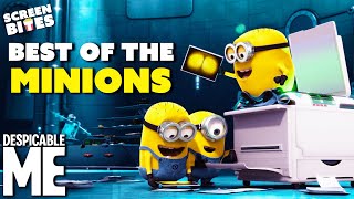 The Best Of The Minions  Minions 2015 amp Despicable Me 2010  Screen Bites [upl. by Canfield285]