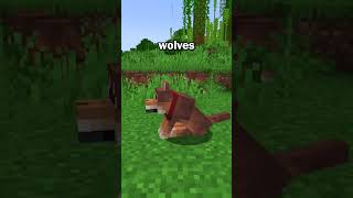 Minecraft Added NEW Dog Variants To The Game [upl. by Abdul]