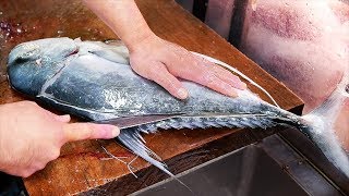 Japanese Street Food  GIANT MACKEREL Okinawa Seafood Japan [upl. by Leviram]