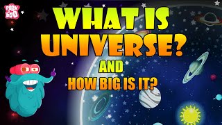 What Is Universe  Size Of The Universe  The Dr Binocs Show  Peekaboo Kidz [upl. by Ynnoj]