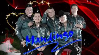 Exitos Sus Mejores Canciones Grupo Mandingo❤️ Música Romántica🎶Grupo Mandingo [upl. by Anella851]