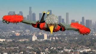 Birdplane  Music Videos  The Axis Of Awesome [upl. by Adler]