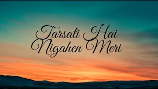 Tarasti hain nigaahein meri Song  Lyrics galat fehmi  Asim Azhar Song [upl. by Yrevi]