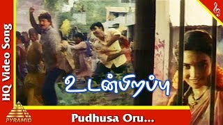 Pudhusa Oru Song Udan Pirappu Tamil Movie Songs  Sathyaraj  Rahman  Sukanya  Pyramid Music [upl. by Augustin]