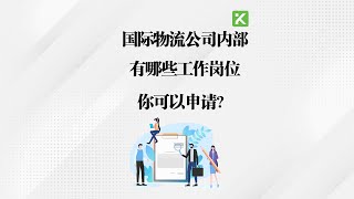 国际物流公司内部有哪些工作岗位你可以申请？为什么说物流操作 logistics Operation 是内部升迁的基础？ [upl. by Akcimat]