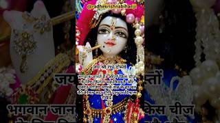 Krishna Bhajans So Beautiful Youll Want to Sing Along [upl. by Ttimme]