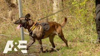 Live PD Best of K9 Officers  AampE [upl. by Haroldson906]