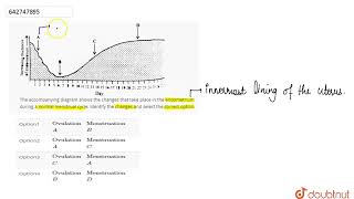 The accompanying diagram shows the changes that take place in the endometrium during a normal m [upl. by Spiros]