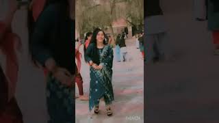 Chandigarh wallian Punjabi song by sharan deol punjabisong shorts video ❤️ [upl. by Docilla]