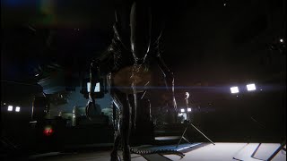 Alien Isolation  Episode 8 [upl. by Merry]