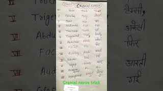 Cranial nerve trick  Human Cranial nerve  mnemonic for cranial nerve  shorts [upl. by Jillene725]