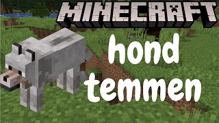 Hoe tem je een hond in minecraft [upl. by Anail]