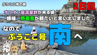 【ぷうここ号の旅】嫁様が、オリオン座流星群が来る日、熱帯魚が観たいと・・・2日目 [upl. by Ikkin]