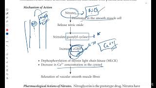 Antianginal drugs in detail for 2nd professional part 1 mbbs neetpg [upl. by Zurkow]