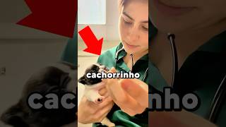 Filhote de Cão Gritando Original x Meme meme viral trend cachorro [upl. by Delisle149]