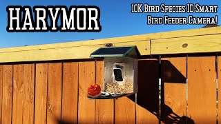 Smart Bird Feeder Camera  10K Bird Species ID 2K Live Video Solar Powered amp RealTime Alerts [upl. by Lachman]