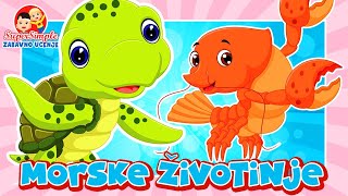 MORSKE ŽIVOTINJE 🐠🦑 Edukativni video za djecu jasličke dobi zabavno učenje sa Flash Karticama [upl. by Hsemin707]