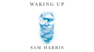 Waking Up  Sam Harris 48  What Is Moral Progress  Peter Singer Animals [upl. by Feldman]