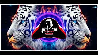 DJ VIKAS SONG Magenta riddim songs full bass buster [upl. by Shepperd]