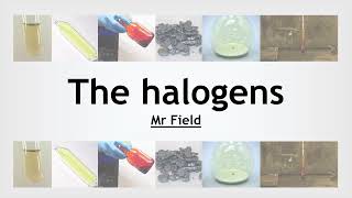 GCSE Chemistry 34  The halogens [upl. by Goines]