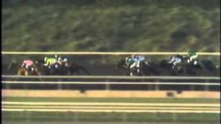 1978 Santa Anita Derby Affirmed Wins The RARE Full Race Version [upl. by Sanferd769]