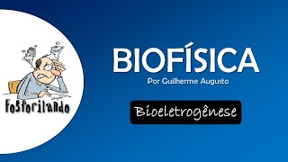 BIOELETROGÊNESE Potencial de ação II  BIOFÍSICA [upl. by Alamat]