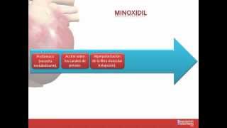 Tema 26 FARMACOLOGÍA CARDIOVASCULAR Fármacos indicados para la Hipertensión Arterial [upl. by Auqenahs]