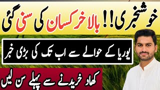 Future of Urea Fertilizer  Fertilizer rates today  Urea Rates Update fertilizerpriceinpakistan [upl. by Lach146]