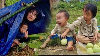 Video Full The miserable life of a mother and her children [upl. by Fraser]