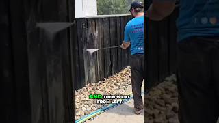 How to Soft Wash a Fence in 25 Seconds or Less  Wood Wizard Tutorial [upl. by Christianity]