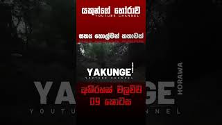 අභිරහස් වලව්ව 09 කොටස  sinhala holman katha sinhalaholmankatha horrortok viral foryou [upl. by Dareg]