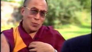 Dalai Lama kills a Mosquito [upl. by Aerdnna]