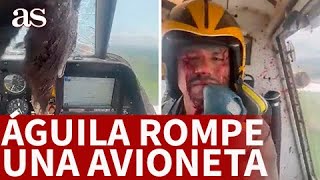 ACCIDENTE AVIÓN se ESTRELLA PÁJARO GIGANTE con un AVIÓN Aterrizaje salió bien  AS [upl. by Leagiba822]