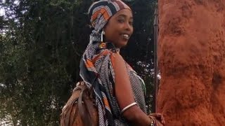 New BORANA OROMO Music2019 by GORDO DALACHAFaaruu Loonii [upl. by Helenka]