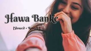 Hawa Banke  slowedreverb [upl. by Aubyn265]