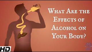 What Are The Effects Of Alcohol On Your Body [upl. by Eiwoh624]