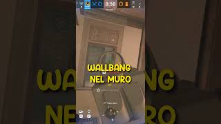 Coaching by M2mhanz shorts highlights rainbowsixsiege funny [upl. by Kerri967]