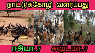 நாட்டுக்கோழி வளர்ப்பது ஈசின்னு சொல்றாங்கMNRFarmVNR [upl. by Erodavlas]