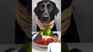 Is Dog Food Better Than Human Food [upl. by Haland]