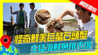 【世界海鮮展】越南怪奇鮮美巨螯石頭蟹 划碗公船逛生猛海鮮魚排市場｜《世界第一等》濃縮精華版 世界該去哪 [upl. by Nynahs]