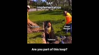 SAP Implementation [upl. by Ariad]