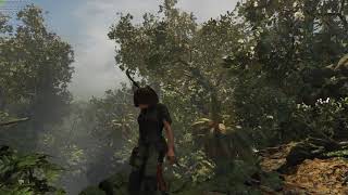 Shadow of the Tomb Raider  GeForce GTX 1060 6GB 1080p 60 FPS [upl. by Ortrud426]